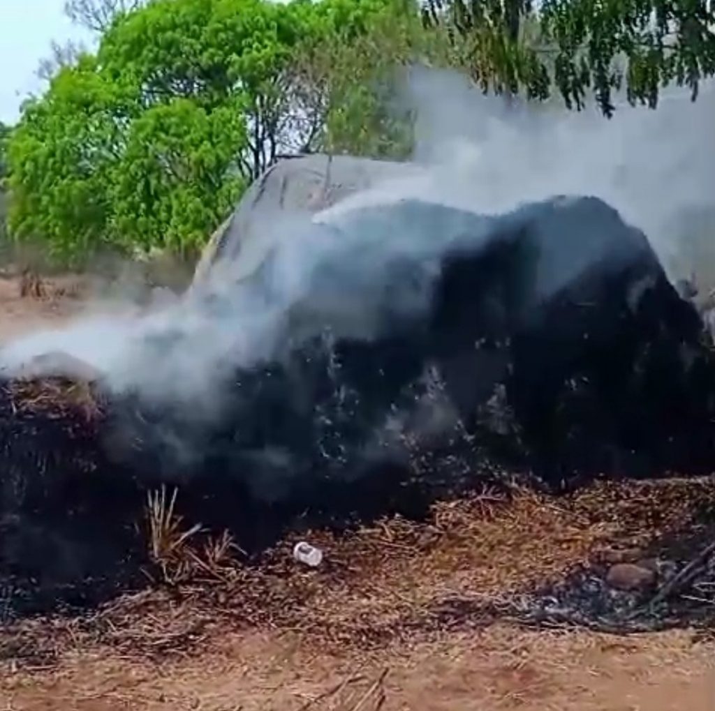 नजिनकेंडल येथे शॉर्टसर्किटने 5 ट्रॉली गवत जळून खाक At Najinkendal, 5 trolleys of grass burnt due to short circuit