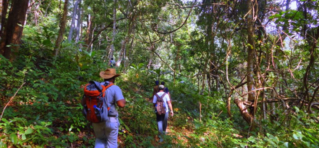 वनक्षेत्रात विनापरवाना येणाऱ्या पर्यटकांवर बंदी Ban on unauthorized entry of tourists into forest areas