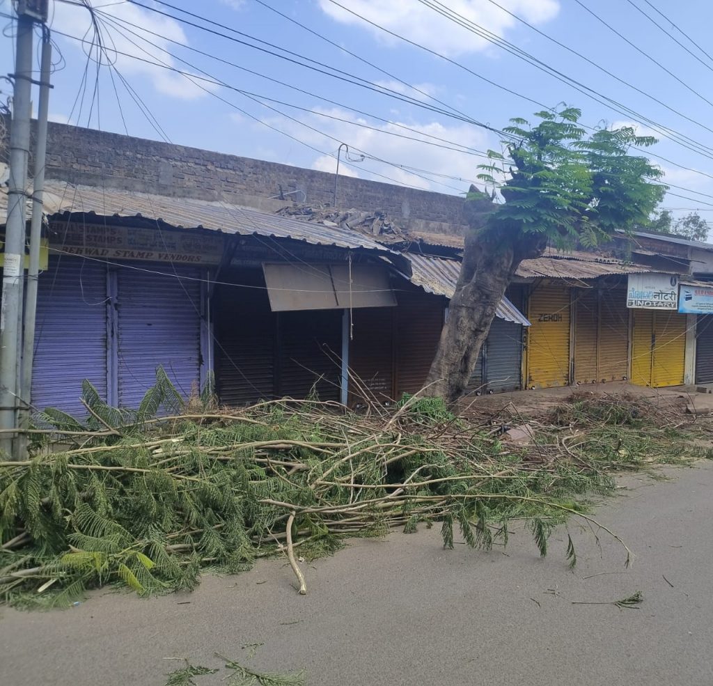 अडथळा ठरलेल्या झाडांच्या फांद्या हटविल्या Obstructing tree branches were removed
