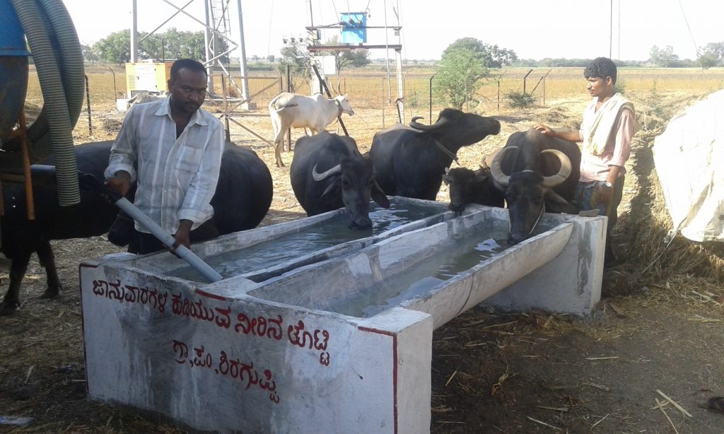 A water trough for thirsty animals