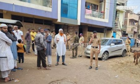 बेकायदेशीर कत्तलखान्यावर छापा; ५० पेक्षा जास्त जनावरांची सुटका Satara