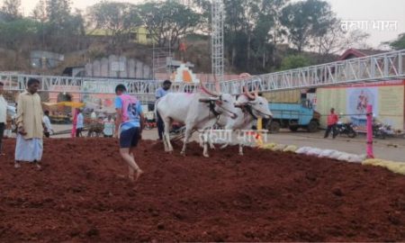 डबल महाराष्ट्र केसरी मल्लाचा शड्डू घुमणार सांगरूळच्या मैदानात