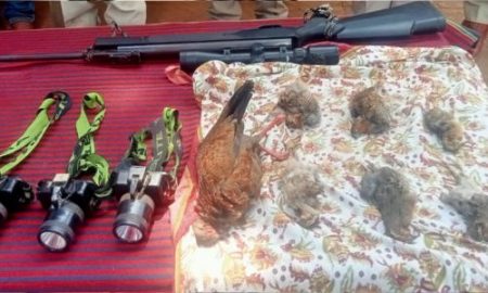 forest department kolhapur