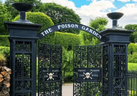 विषारी उद्यान Poisonous Park