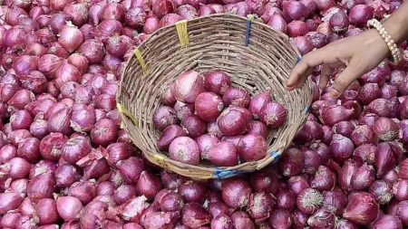 Efforts to purchase onion under PDPS