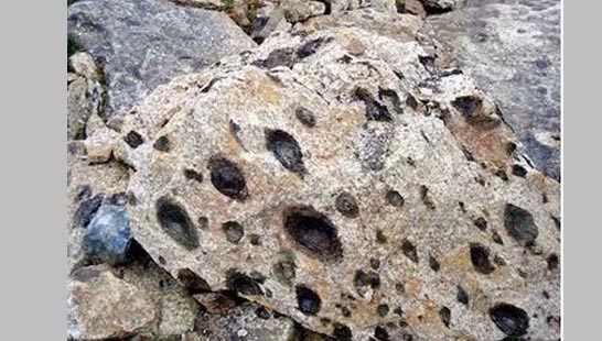 काय ? दगडापासून अपत्यांचा जन्म ? what Children born from stone?