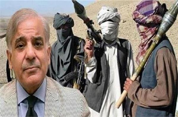 Enter Pakistan and take revenge!