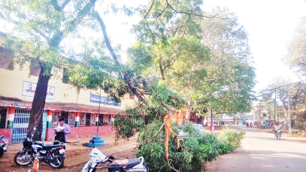 मजगावात शाळा आवारातील झाडाची फांदी तुटल्याने तीन दुचाकींचे नुकसान In Majgaon, three two-wheelers were damaged due to the breaking of a tree branch in the school premises