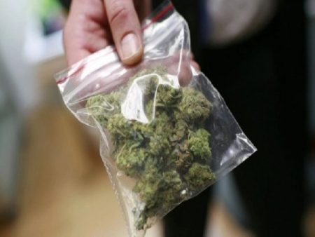 सांगली शहर पोलीसांकडून गांजा विक्री करणाऱ्यास अटक! 12 किलो गांजा जप्त ganja