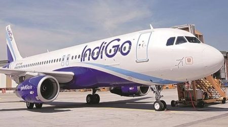 IndiGo insists on increasing number of aircraft, staff