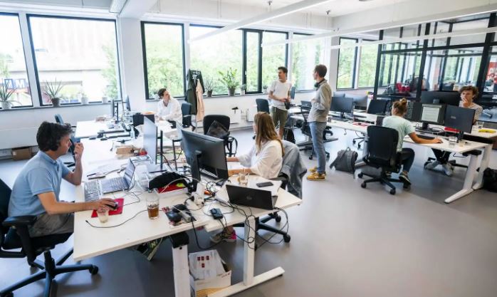 The growth rate of 'IT' will remain at 3-4 percent