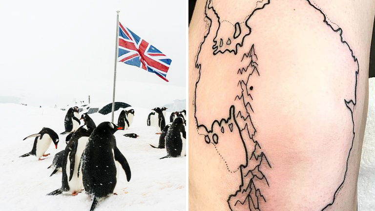 A job living with a penguin