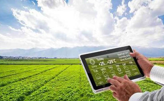 इंटरनेट ऑफ थिंग्ज तंत्रज्ञानाचा कृषी पद्धतींमध्ये वापर Technology in Agricultural Practices