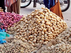 Potato price hiked by Rs 300, onion price stable