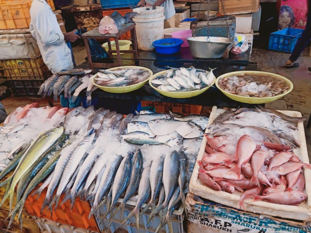 बांगडा 300 रुपये किलो Bangla 300 rupees per kg