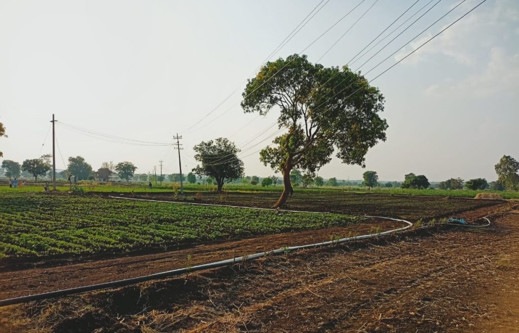 Danger to life due to hanging power lines