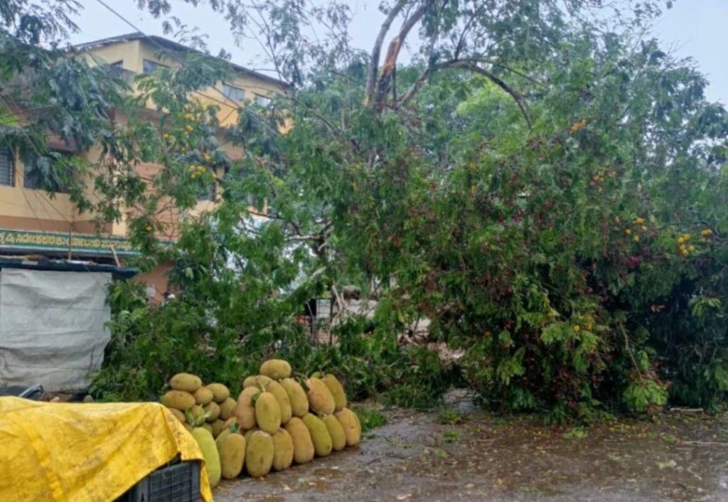 खानापुरात पावसाच्या हलक्या सरी Light showers in Khanapur