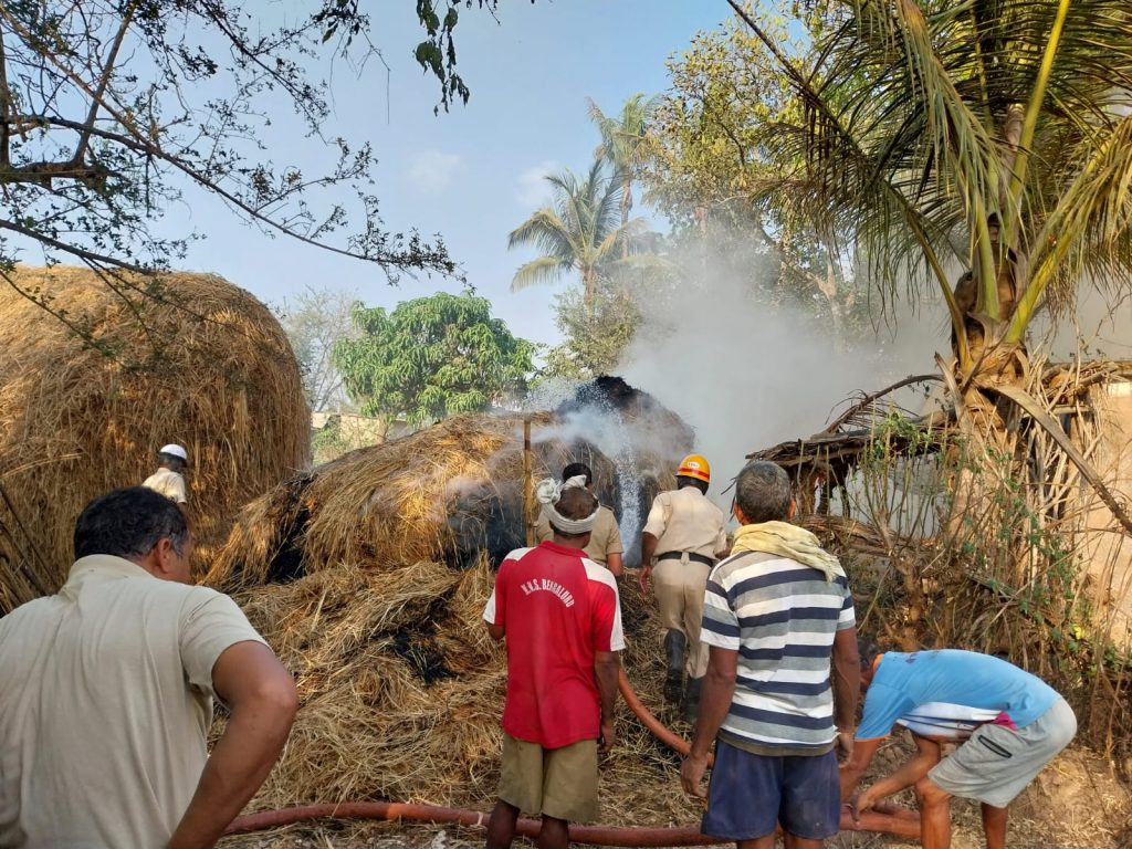 Burned grass in Garbenhatti
