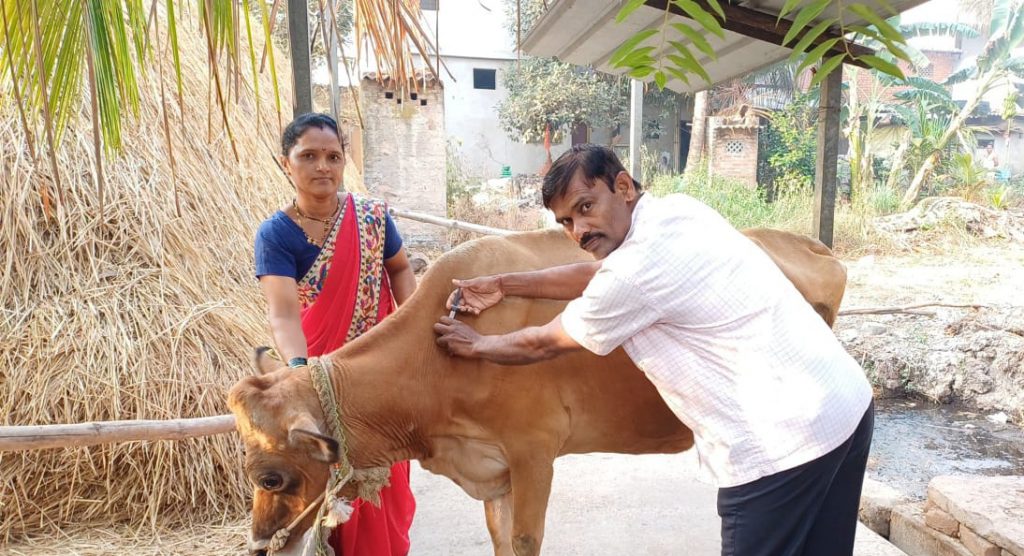 Anti-rabies vaccination started in the district