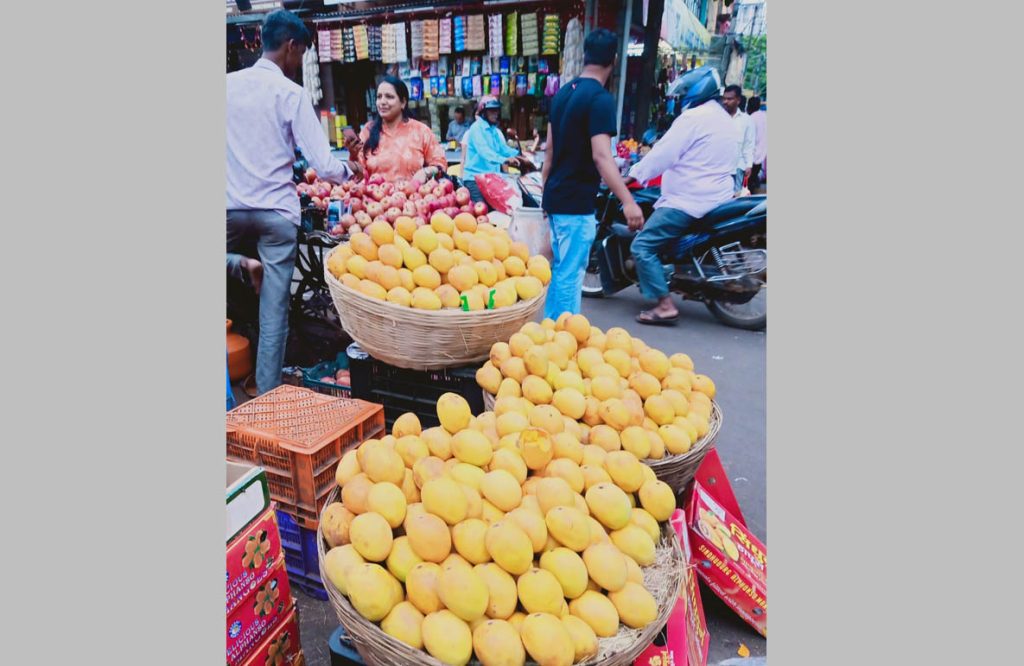Local mango entered the market