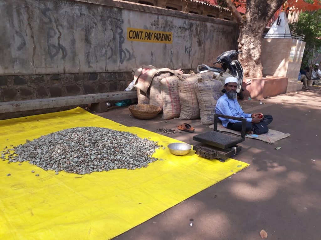 काजू उत्पादकांना दराची केवळ अपेक्षाच Cashew growers only expect the price