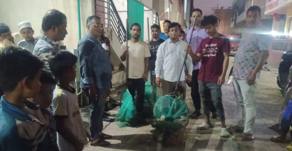 Finally caught the crushed dog