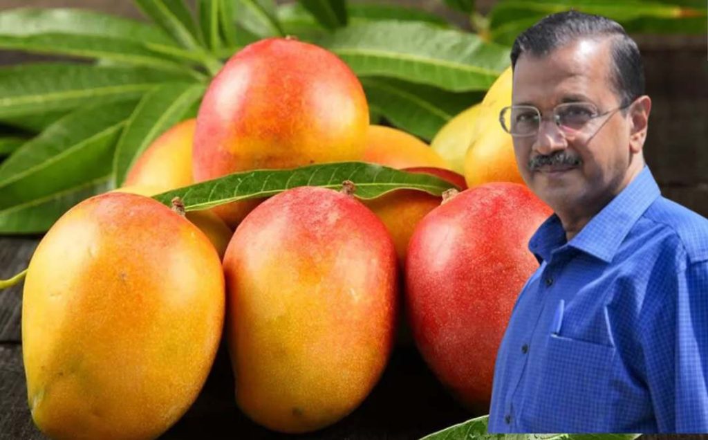 जामीन मिळवण्यासाठी आंबे-मिठाईचे अतिसेवन Overconsumption of mango-sweets to get bail