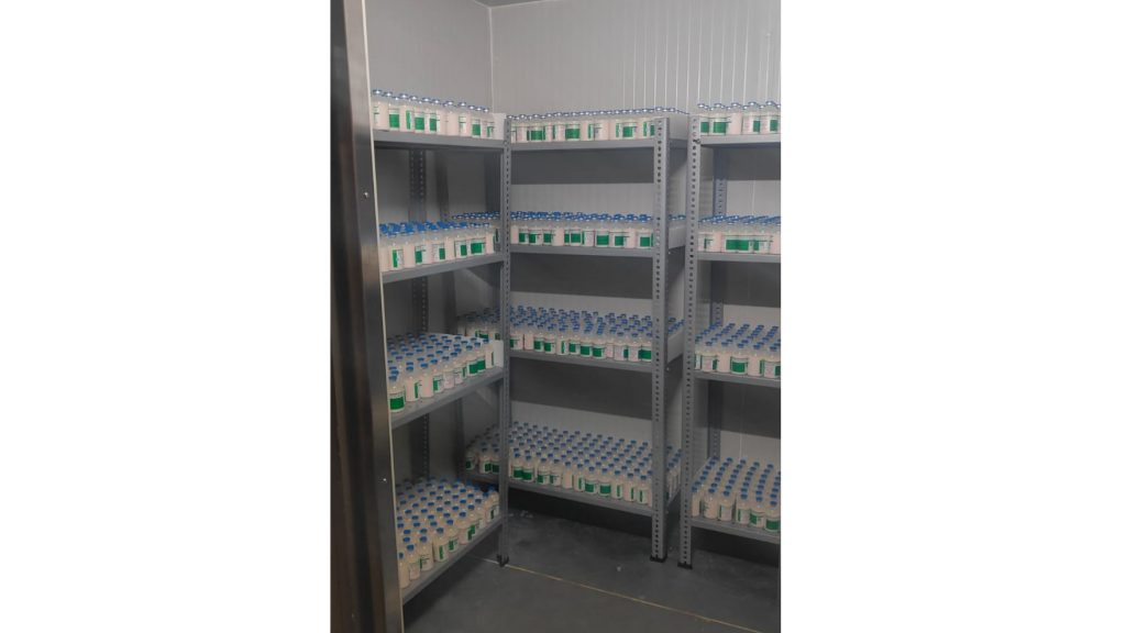 खानापूर तालुक्यात उद्यापासून लाळ्याखुरकतवर लसीकरण Vaccination against rubella from tomorrow in Khanapur taluka