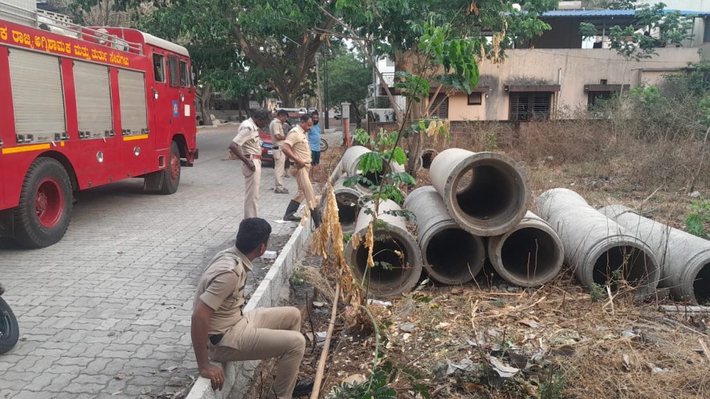 The puppies were moved to a safe place