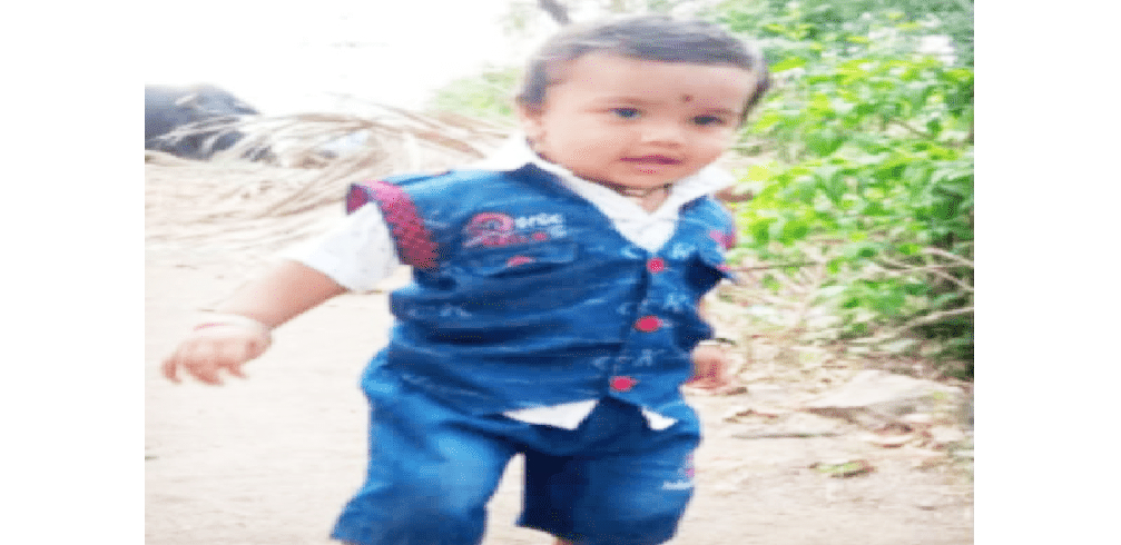 A two-year-old child fell into the Koopalanika