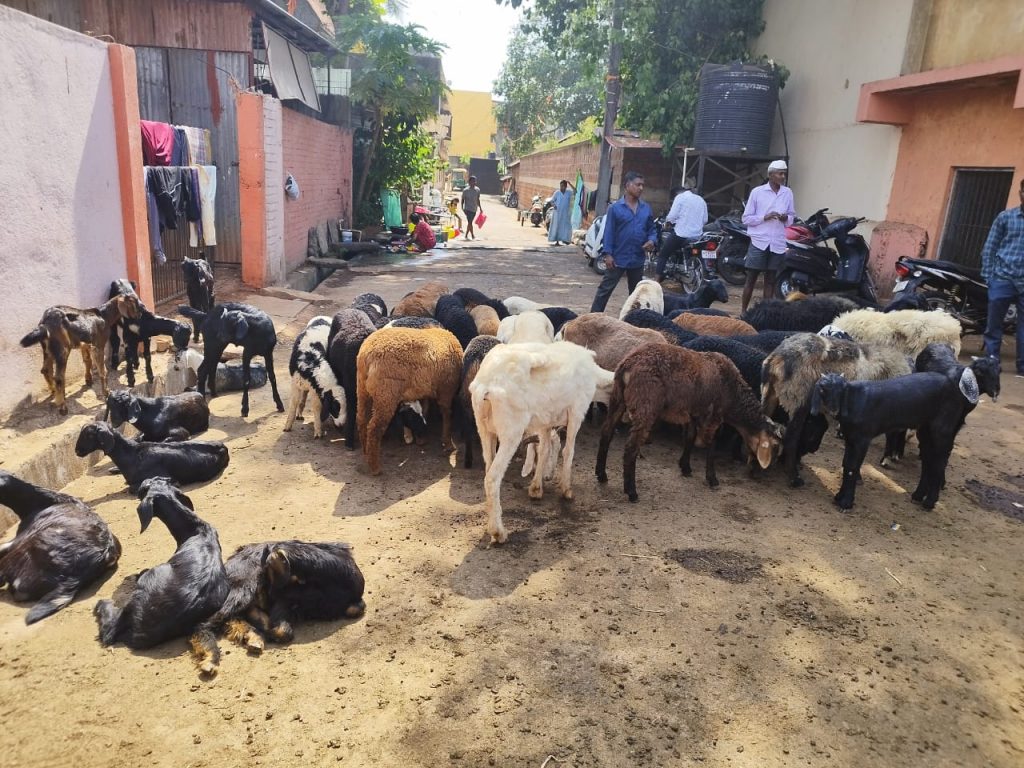 Yatra-Jatra is on the horizon, the goat market is flourishing