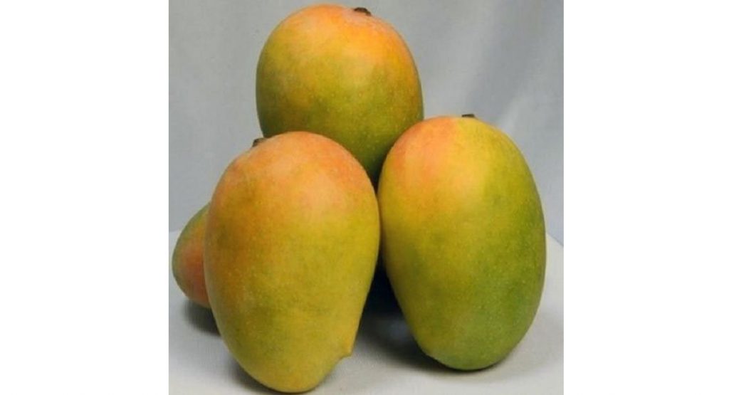 Mango lovers wait for saffron mango