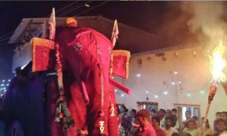 Radhanagari Festival