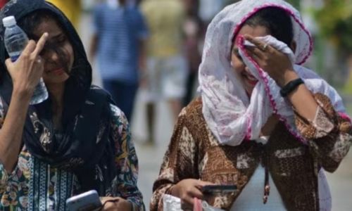 जिल्ह्यात पारा गाठू शकतो 42 अंश उन्हाच्या तडाख्यापासून वाचणार कसे..? Summer Heat