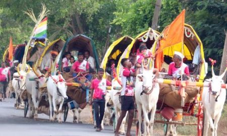 भाविकांचे जथ्ये अन् सासनकाठ्यांनी वाडिरत्नागिरीचा मार्ग फुलला Vadiratnagiri