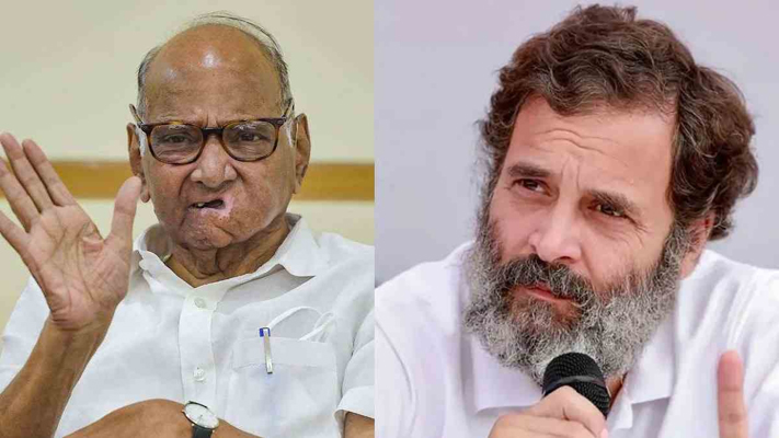पवार, गांधींचे काय होणार? What will happen to Pawar, Gandhi?