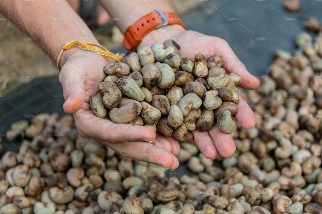 The issue of sale of cashew nuts has persisted for years