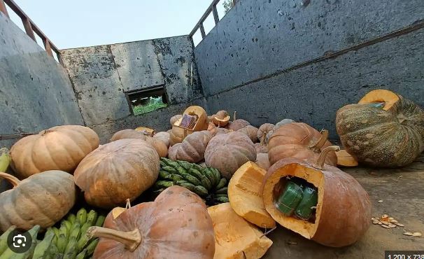 Drugs worth three and a half crore seized in Manipur