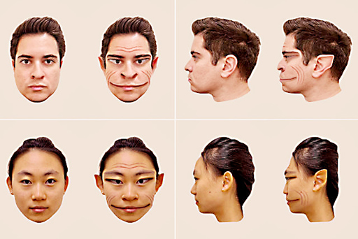 A strange disease of not being able to see beautiful faces