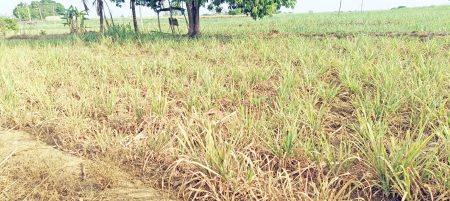 Look out for water, watch out for imminent rain