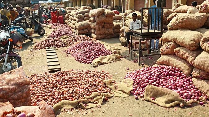1 लाख टन कांदा निर्यातीला अनुमती Export of 1 lakh tonnes of onion allowed