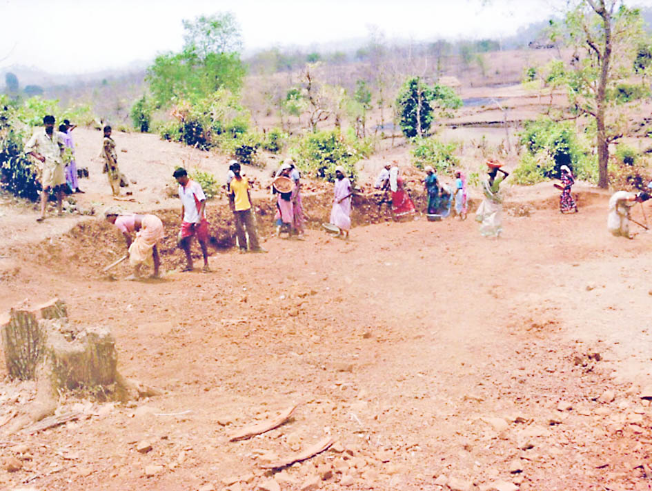 दोन वर्षांत जिल्ह्यात 212 तलावांची निर्मिती Construction of 212 lakes in the district in two years