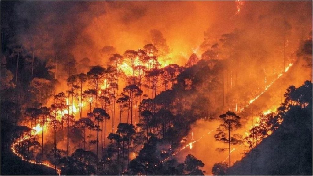 उत्तराखंडच्या जंगलात अग्नितांडव Fire in the forests of Uttarakhand