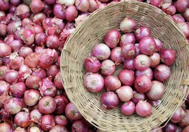 कांद्याचा (पुन्हा) वांदा Onion (again) Vanda