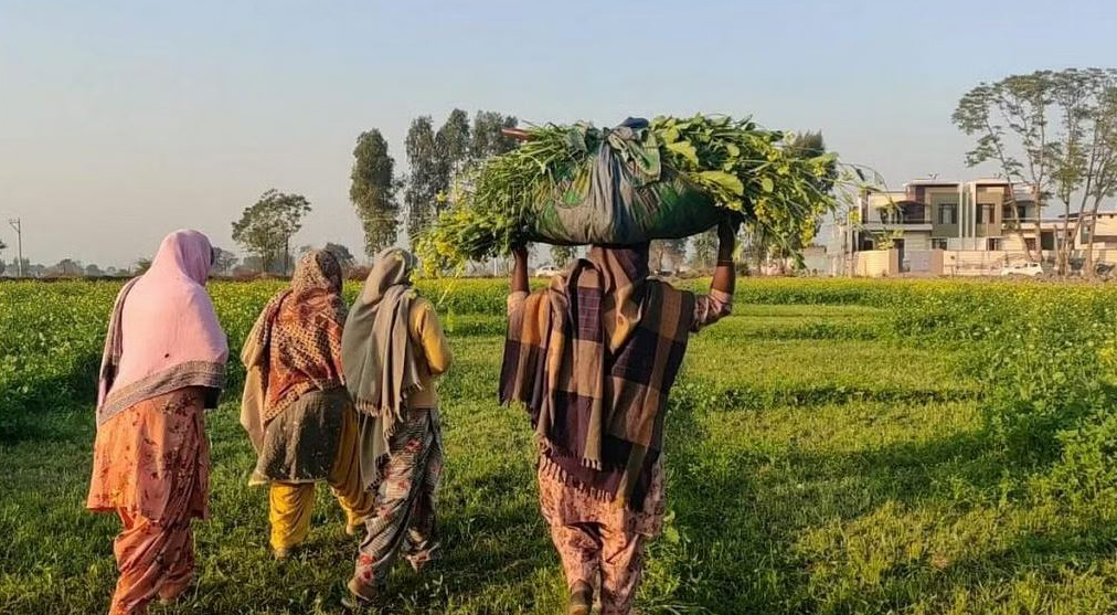 Women's prosperity through cooperation