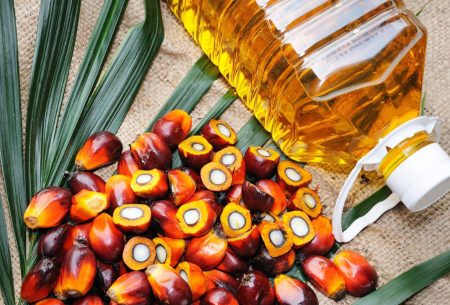 Palm oil imports at 10-month low