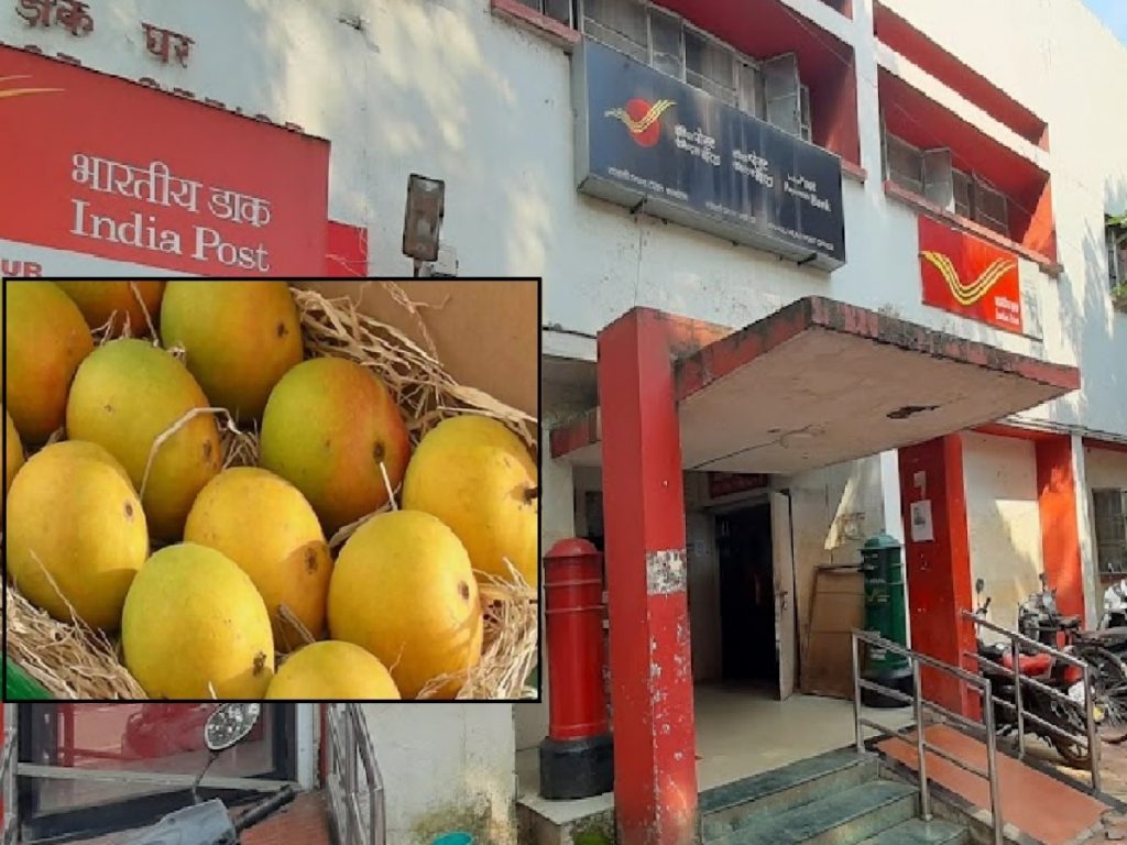 आता पोस्टाने मागवा आंबे! Now order mangoes by post!