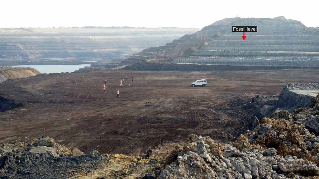 'Vasuki Nag' Was Bigger Than T-Rex Dinosaur