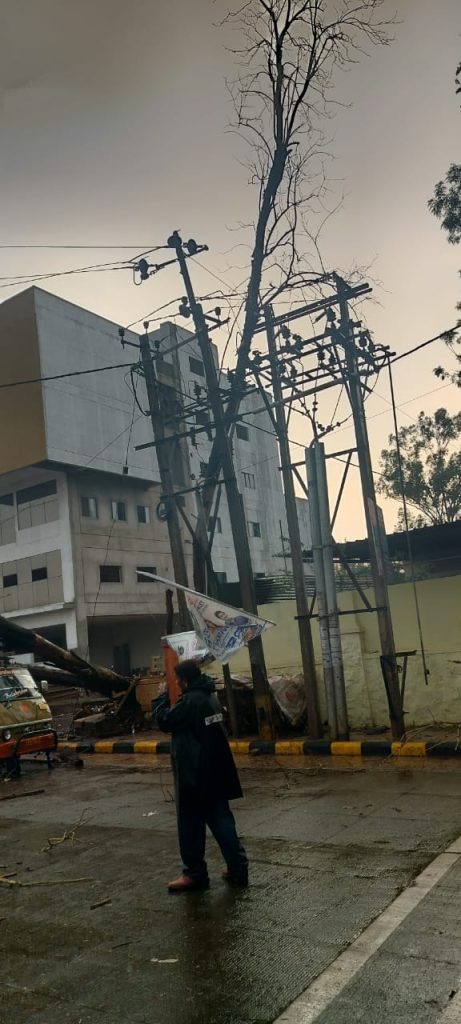 Hescom's Vanda due to tree branches