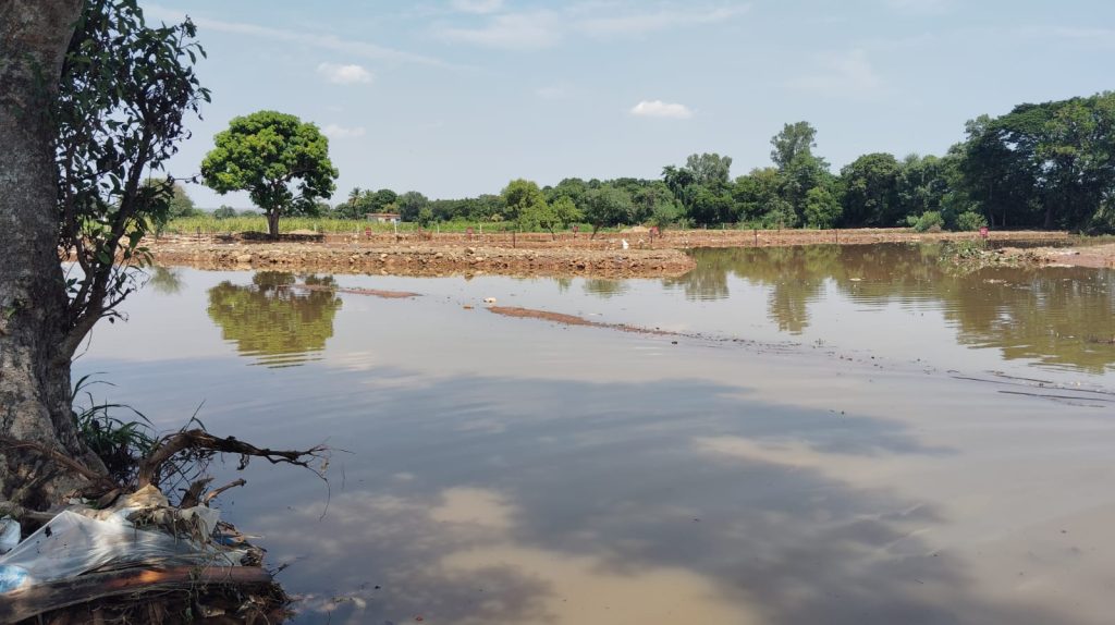 Altered direction of lentinala